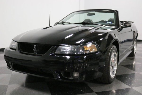 2001 Ford Mustang SVT Cobra for Sale $18,995