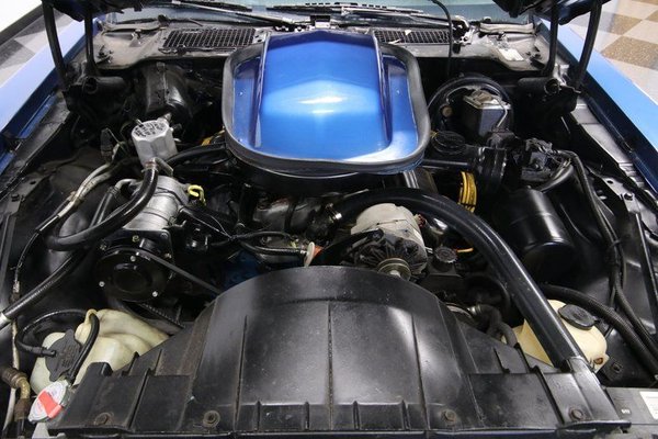 1978 Pontiac Firebird Trans Am for Sale $24,995
