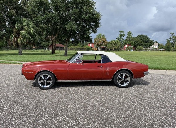 1967 Pontiac Firebird Convertible for Sale $49,900