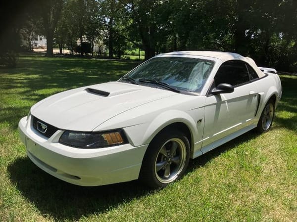 2003 Ford Mustang  for Sale $19,995 