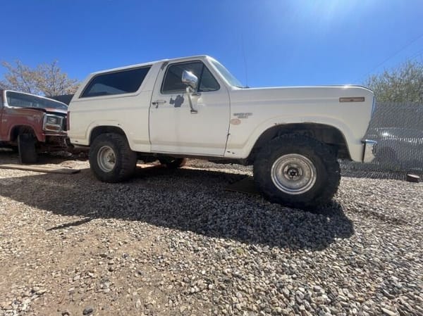 1985 Ford Bronco  for Sale $8,195 