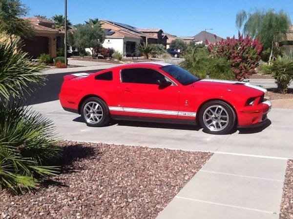 2008 Ford Mustang  for Sale $47,995 