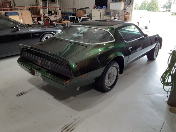 1981 Pontiac trans am for Sale $18,500