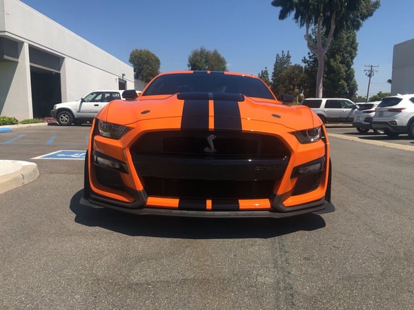 2020 Ford Mustang  for Sale $120,000 