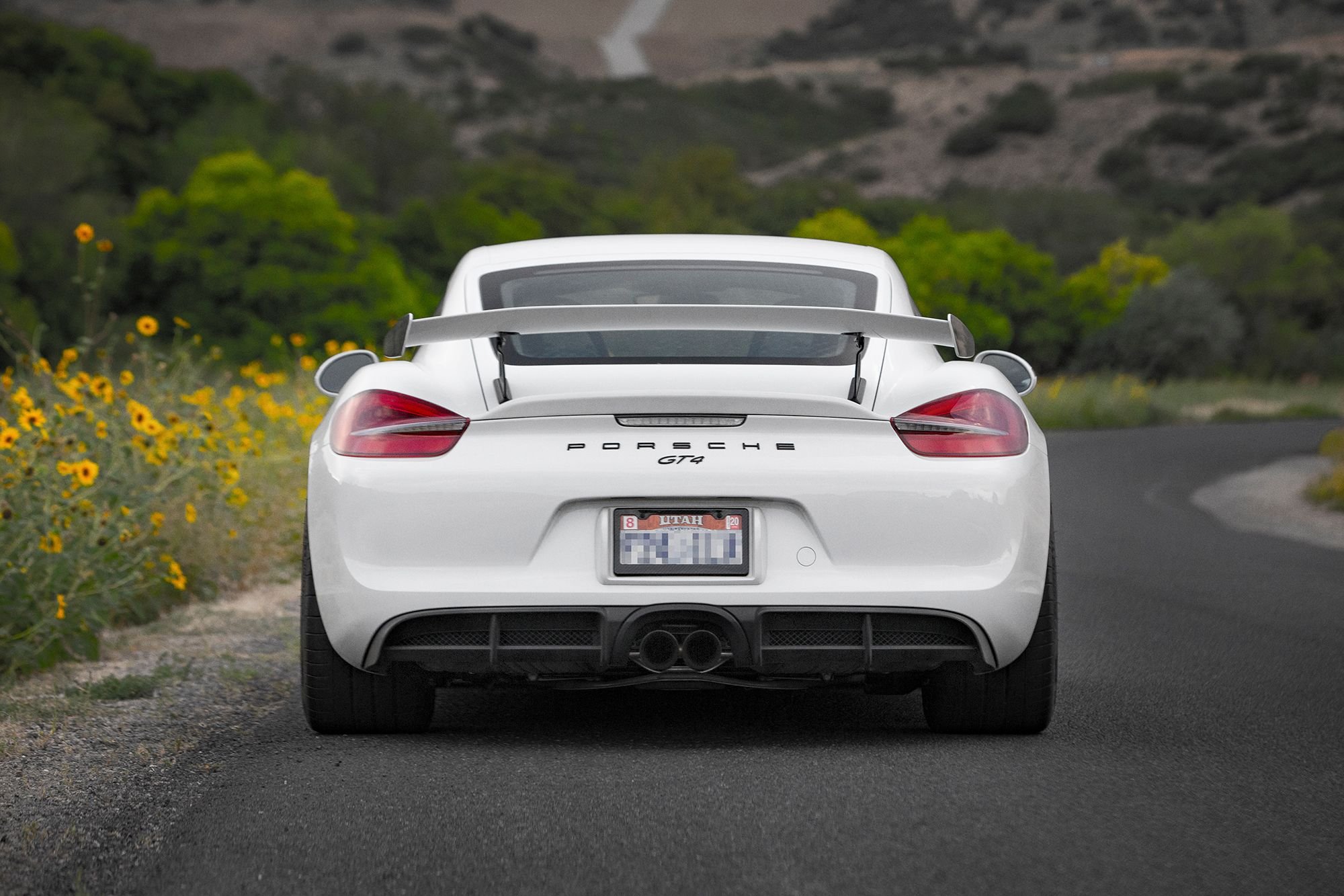 2016 Porsche Cayman GT4 - 2016 Porsche Cayman GT4 White PCCB , Carbon Buckets ~12k Miles - Used - VIN WP0AC2A88GK197638 - Salt Lake City, UT 84047, United States
