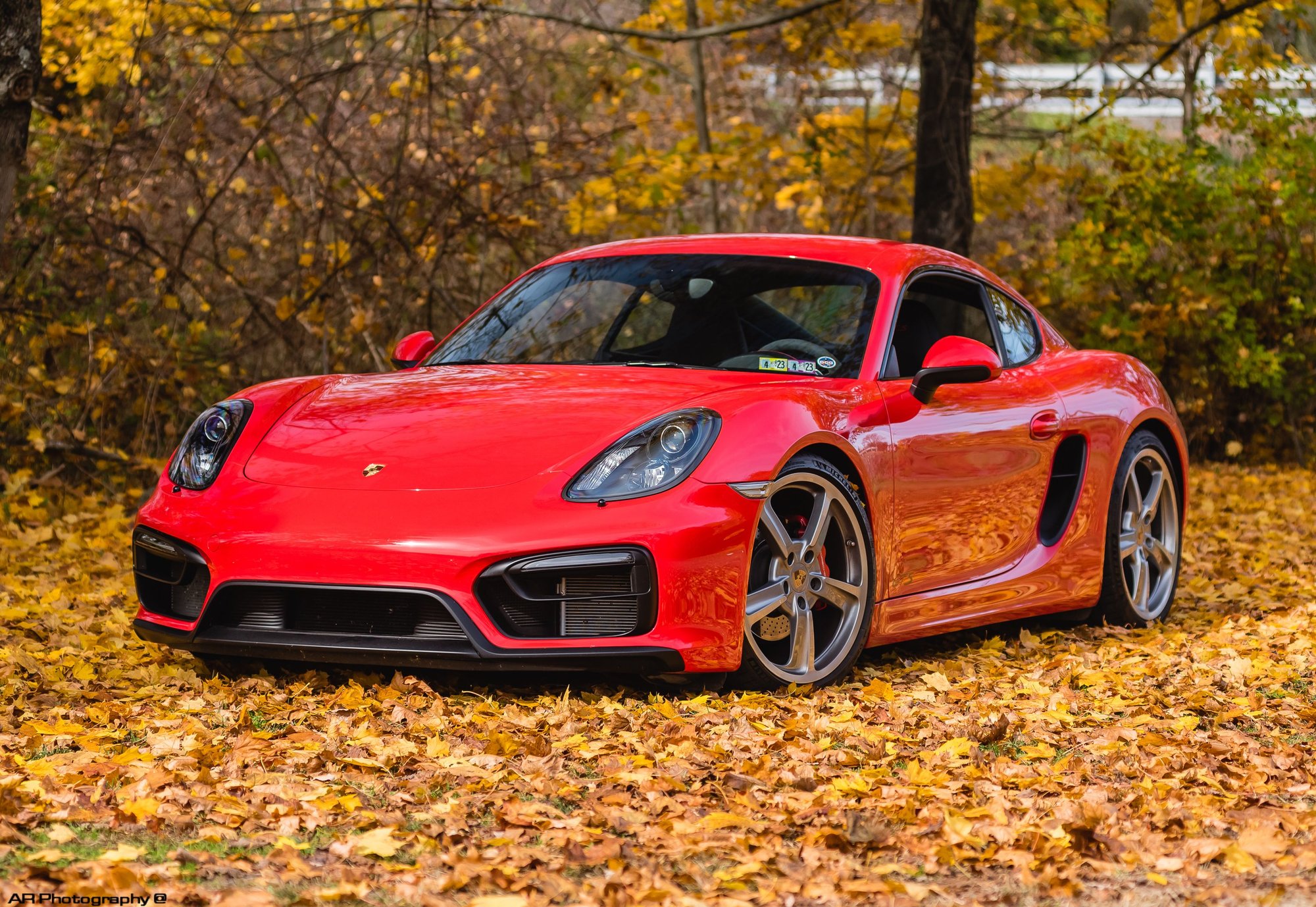 2015 Porsche Cayman - Gorgeous and very well optioned 2015 Cayman GTS - Used - Lititz, PA 17543, United States