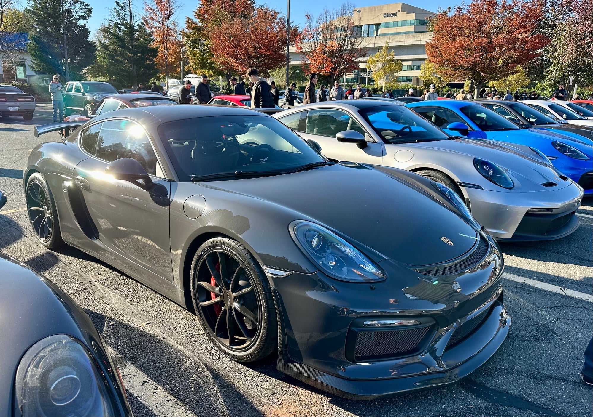 2016 Porsche Cayman GT4 - 1 of 1 PTS Grey-Black 981 GT4 For Sale - Used - VIN WP0AC2A86GK191224 - 19,800 Miles - 6 cyl - 2WD - Manual - Coupe - Other - Haymarket, VA 20169, United States