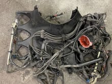 Dirty fanshroud and engine wiring