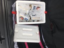 As always some cold beer. 