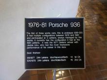 Palmaz 041
