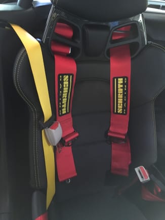 Red Harnesses - probably gonna switch them out for black when those are available.