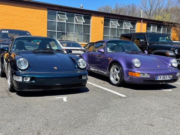 My amazon C2 next to the violet blue 