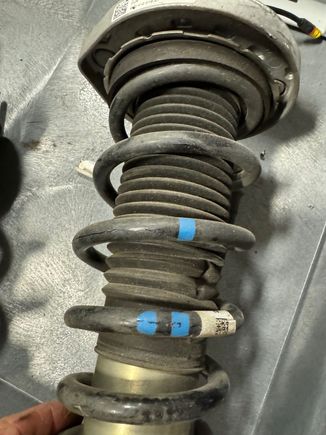 Front Springs - Blue / Blue coding