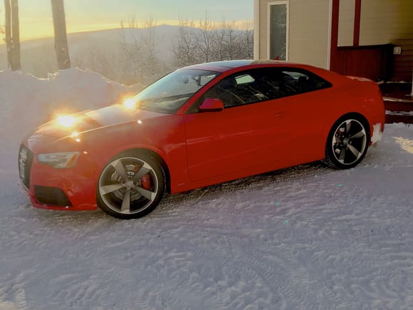 20" Winter Audi  rims