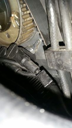 passenger side sprocket