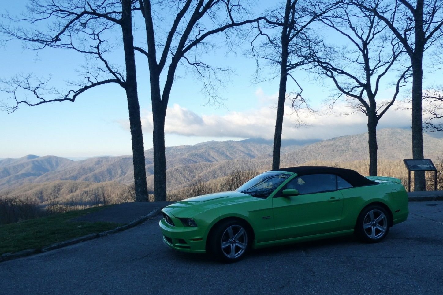 Near Newfound Gap