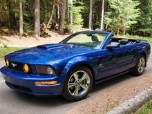 Out for a spirited ride in the forest on the Olympic Peninsula in WA