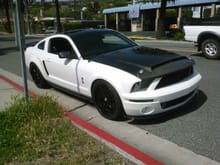 SOLD! My 2008 GT500 I cut the roof off ALONE and put the SALEEN GLASS ROOF on by my self.. FUNCTIONAL SIDE SCOOPS , Carbo Fiber trunk and hood, 20in Steeda wheels chrome pealed off anf no warranty ;( so powder coated them suckers black. invo tires 605 hp upgrades , sold with under 500 miles in 2011 due to injuries. ton more subtle mods, stripes under the car even.