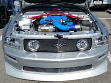 Mustang engine dress-up project