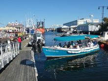 Our harbor tour was an hour full of history.