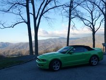 Near Newfound Gap