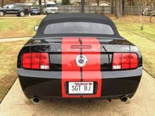 Glenn's Shelby GT Barrett Jackson Pictures 11242009 018