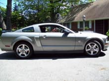 Mustang 19