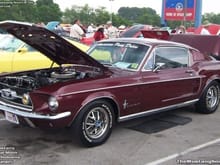 Mustang Photo Archive 1967-1968 Mustangs 1967 Mustang