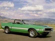 Mustang Photo Archive 1969-1970 Mustangs 1970 Mustang 1970 Shelby GT350