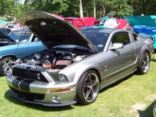 gray gt 500