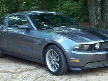 Sporting her new Shelby Cobra wheels.