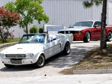 white stang and me