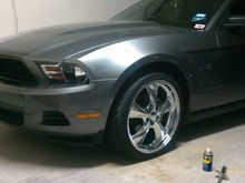 2010 STANG