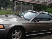 My 2nd Mustang
2002. I was never able to get a title to it