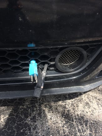 Blue wire is for Charging and black wire is for block heater