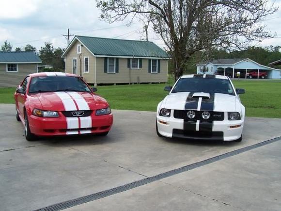 Mustangs 006