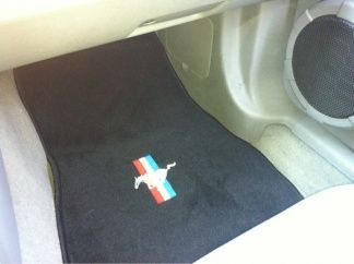 New floor mats-9/8/12