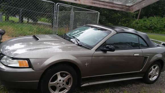 My 2nd Mustang
2002. I was never able to get a title to it