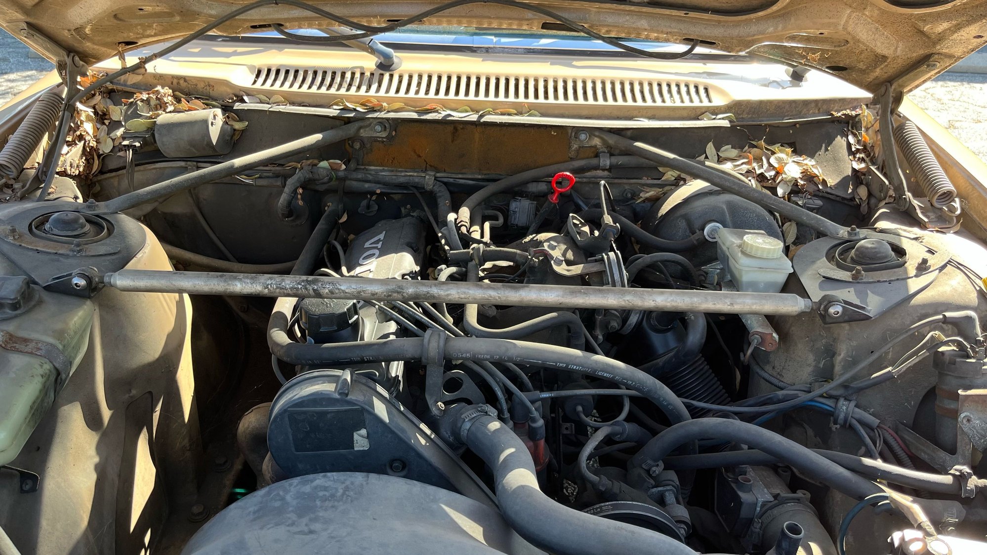 1985 Volvo 244 - Clean Lowered '85 240 DL - Used - VIN 12345678910111213 - 201,000 Miles - 2WD - Automatic - Sedan - Beige - Long Beach, CA 90807, United States
