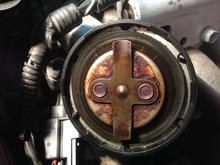 oil cap gasket