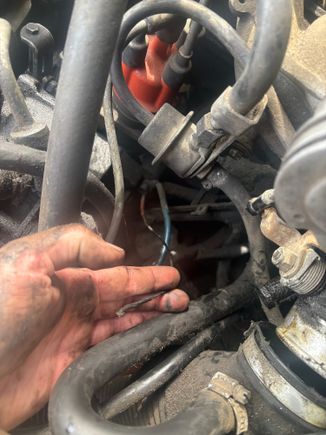 What wire is this on my 87 Volvo 240 dl wagon? Where is it supposed to lead to?