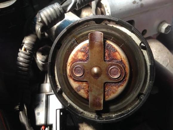 oil cap gasket