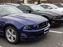 Lots of Mustangs showed up.