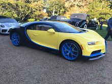 Looks like a 3rd grader colored in a Bugatti