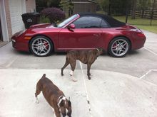 Our dogs Zoey and Gaspar weren't too impressed :-)
