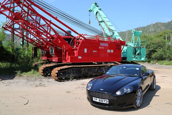 Beauty and the beasts!