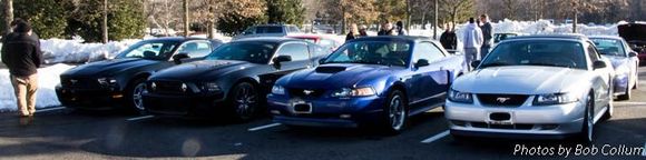 A group of Mustangs.