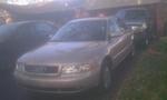 new baby