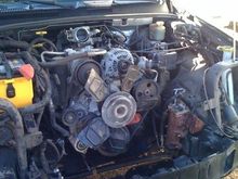 Motor Rebuid3