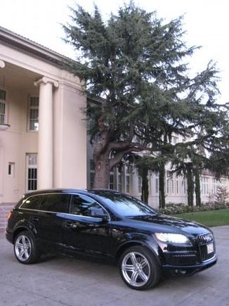 2011.Q7 Prestige TDI 006